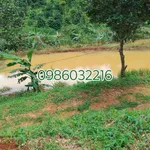 Bán đất 2ha có nhà xây ở Đăk Ha, Gia Lai, giá 3,6 tỷ - Ảnh thu nhỏ 4