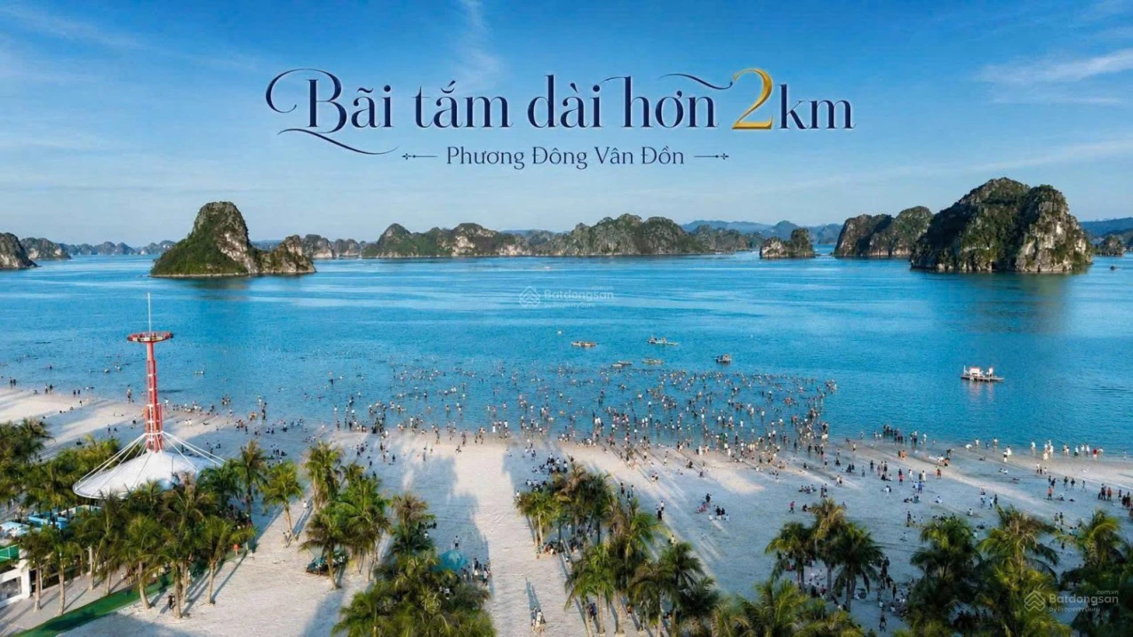 LK12, LK13, LK14 Phương Đông Vân Đồn giá từ 2x triệu/m2 - Ảnh 1