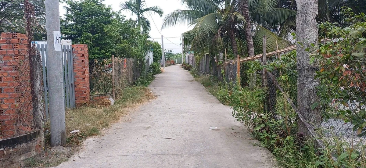 Bán đất góc 2 mặt tiền Phước Vân Hóc Môn 220m2 - Ảnh thu nhỏ 5