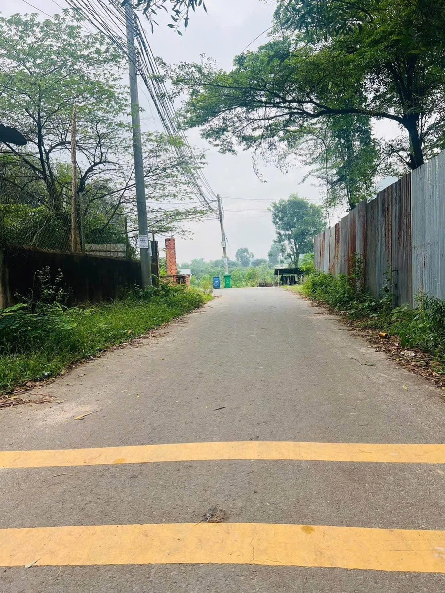 Bán đất Giang Điền 500m² mặt tiền nhựa 1 tỷ 5 - Ảnh thu nhỏ 3
