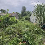 Bán đất nền 243m2 vị trí cách Quốc lộ 54 300m gần trường học gần chợ tiện nghi đầy đủ - Ảnh thu nhỏ 6