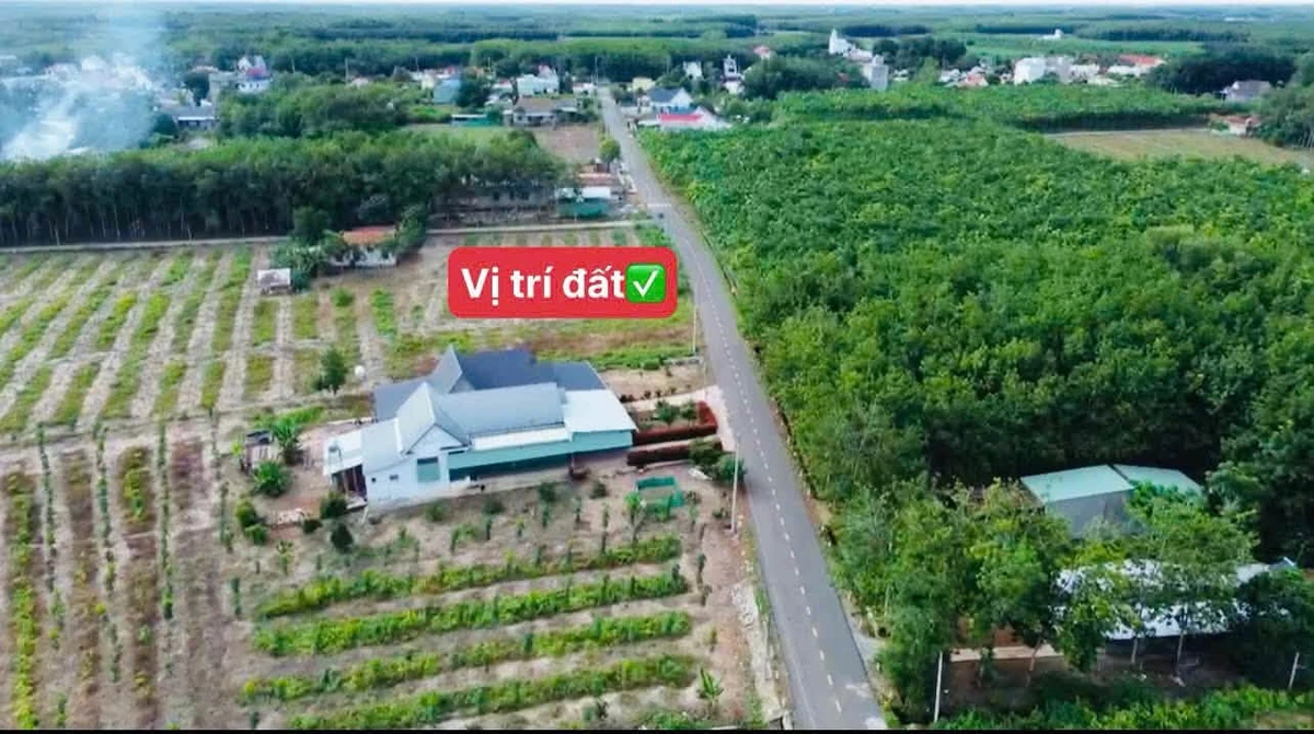 Bán đất mặt tiền 6m x 40m Minh Thắng, Bình Dương - Ảnh thu nhỏ 4