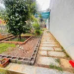 Bán nhà Bình Tân 253m² 2 phòng ngủ 2 tỷ - Ảnh thu nhỏ 2