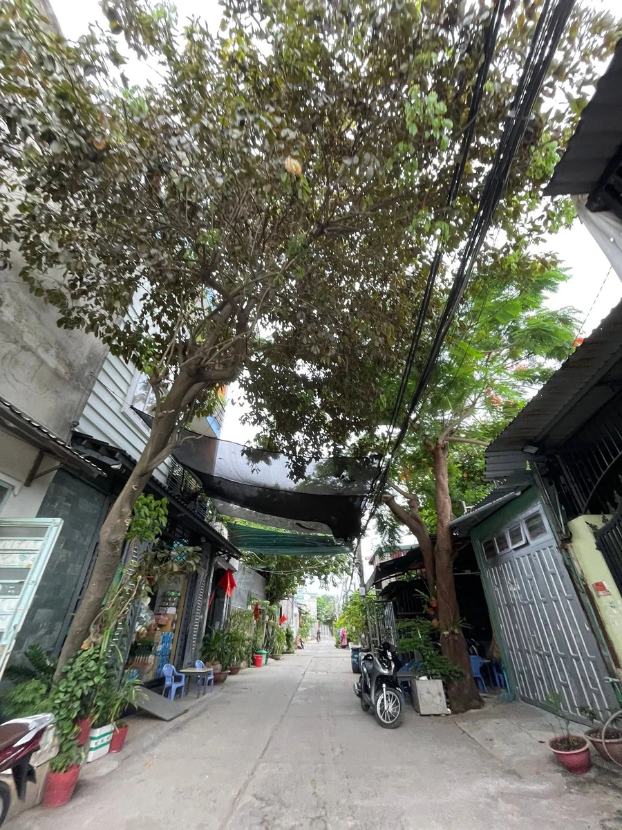 Bán nhà 3 tầng 8x19 5,9 tỷ Bình Tân gần Aeon Mall Tân Phú - Ảnh thu nhỏ 2