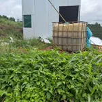 Bán đất 3ha khu dân cư gần trường Thuận Hạnh, giá 3 tỷ 800 - Ảnh thu nhỏ 3