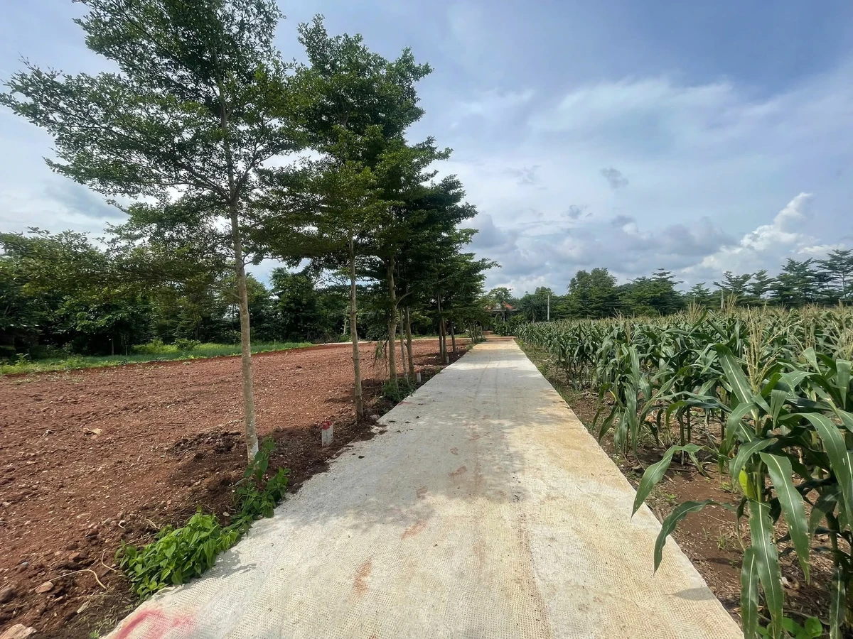 Bán đất 91,3m² tại Xã Xuân Đông, Đồng Nai - 260 triệu - Ảnh thu nhỏ 2