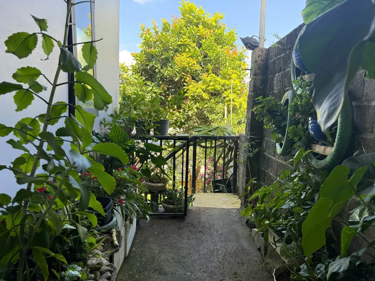 Nhà vườn 3PN view núi Bảo Lâm, Lâm Đồng 560m², 2,5 tỷ - Ảnh thu nhỏ 4