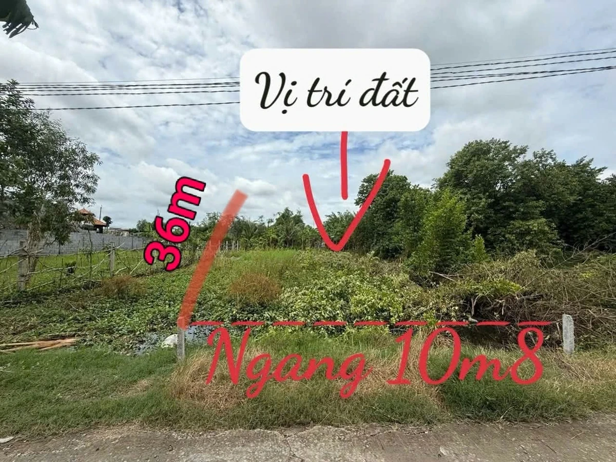 Bán đất vườn 388.8m² Phước Lý, Cần Giuộc 1 tỷ 450 triệu - Ảnh thu nhỏ 5