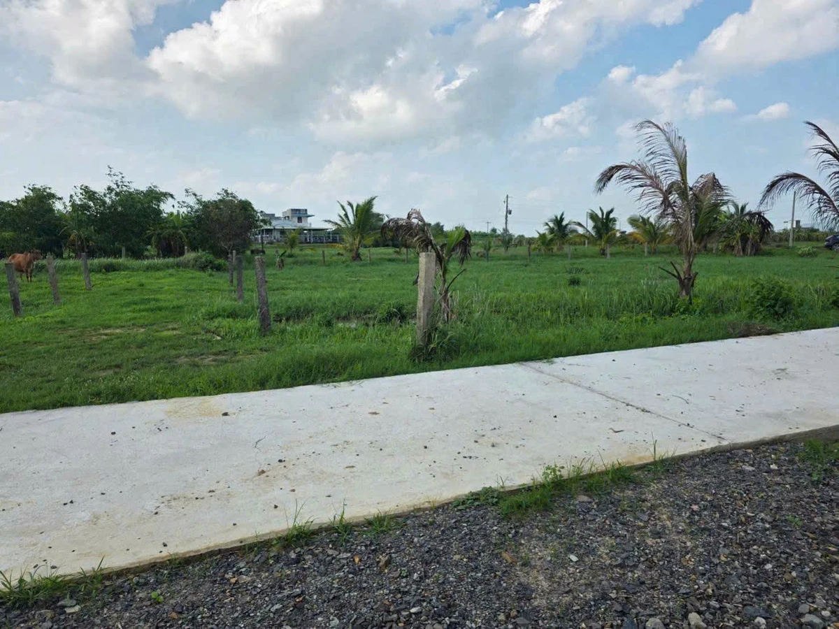 Bán đất thổ cư 100m2 mặt tiền Hàm Liêm, Lâm Đồng - Ảnh thu nhỏ 3