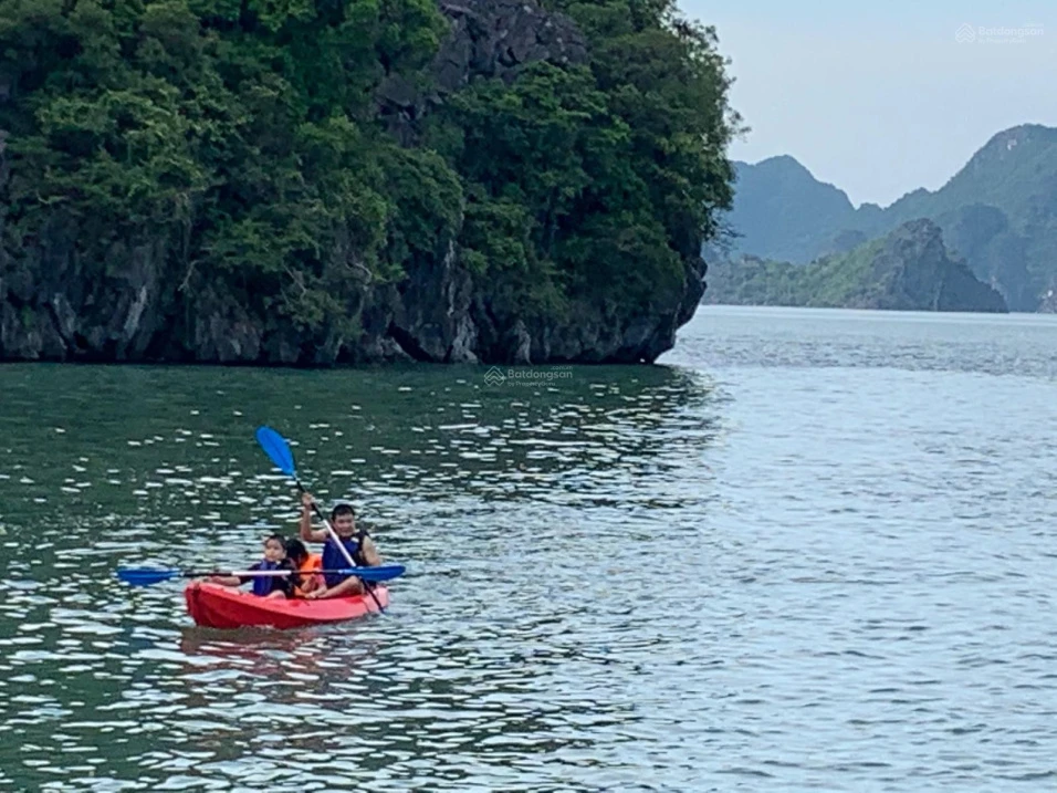 Tôi chính chủ cần bán đảo 4ha đẹp ở hồ Thác Bà, Yên Bái 4ha (thực tế 5,8 ha) - Ảnh thu nhỏ 3