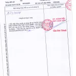 Bán QSDĐ và TS gắn liền với đất thuộc thửa 744, TBĐ 34, P. Thắng lợi, TP. Pleiku, T. Gia Lai - Ảnh thu nhỏ 4