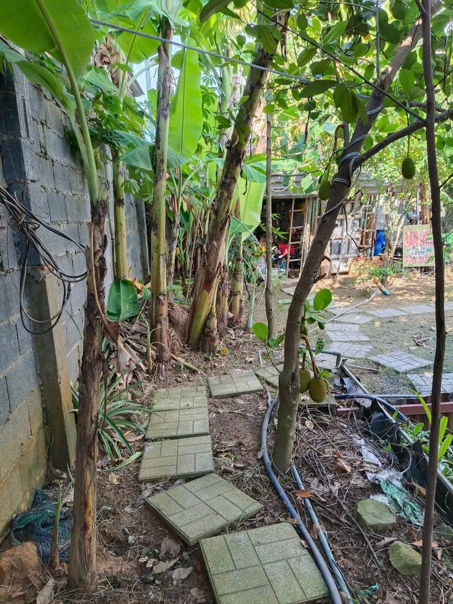 Bán đất Phường Bửu Long 300m2 1 tỷ 650 triệu - Ảnh thu nhỏ 2
