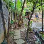 Bán đất Phường Bửu Long 300m2 1 tỷ 650 triệu - Ảnh thu nhỏ 2