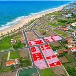 Bán đất mặt biển Hải Triều Nam Định từ 1 tỷ - Ảnh thu nhỏ 4