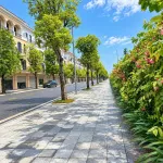 Liền kề 80m2 giá 8,88 tỷ ,Đông Nam, trục 20m,cạnh chung cư, kinh doanh tốt - Ảnh thu nhỏ 6