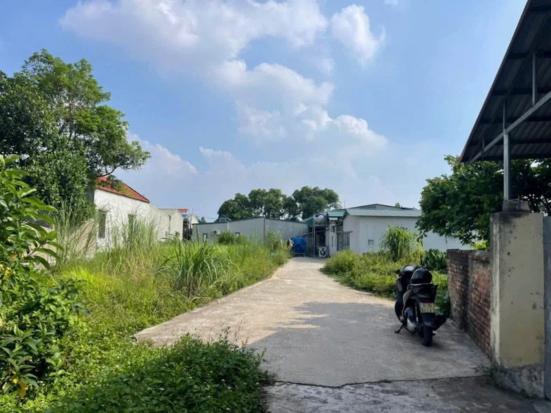 Bán lô đất 74m² mặt tiền 11.44m Lương Điền Hải Dương