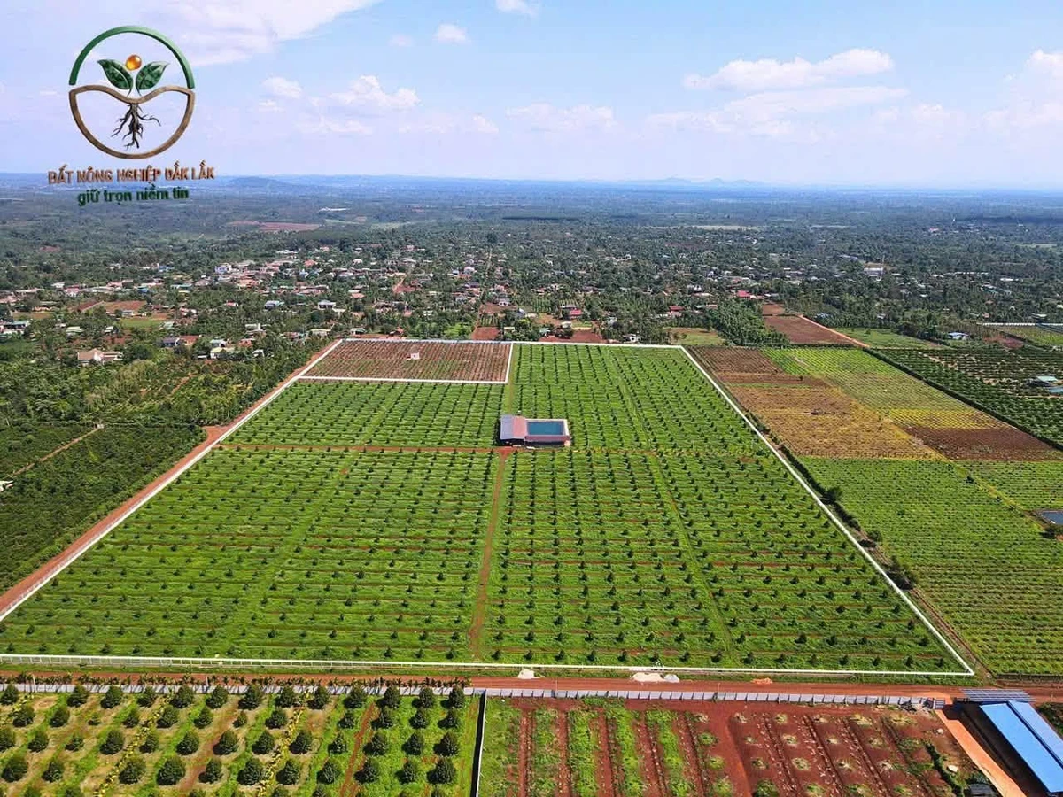 Bán 6,8 hecta đất sầu thu tại Eatar Cưmgar, Đắk Lắk - Ảnh 1