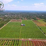 Bán 6,8 hecta đất sầu thu tại Eatar Cưmgar, Đắk Lắk - Ảnh thu nhỏ 1