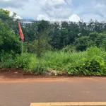 Bán đất nông thôn Bù Đốp 2100m² 490 triệu - Ảnh thu nhỏ 3