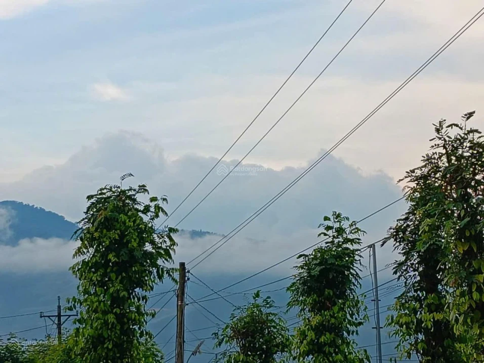 Bán gấp nhà & đất Gia Hiệp, Di Linh, Lâm Đồng (có sẵn dòng tiền 200tr/năm - giá còn thương lượng) - Ảnh 1