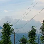 Bán gấp nhà & đất Gia Hiệp, Di Linh, Lâm Đồng (có sẵn dòng tiền 200tr/năm - giá còn thương lượng) - Ảnh thu nhỏ 1