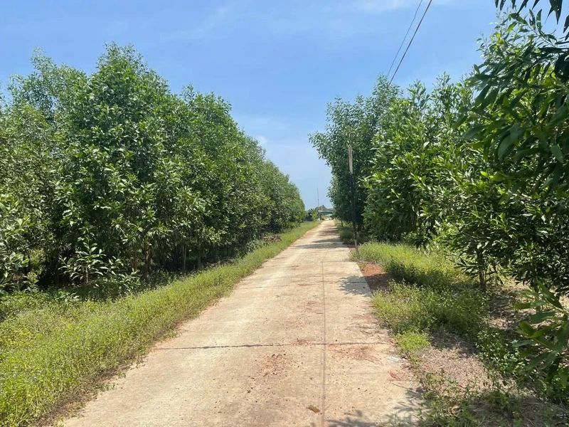 Bán đất Tây Ninh 1,7 ha mặt tiền đường 850 triệu