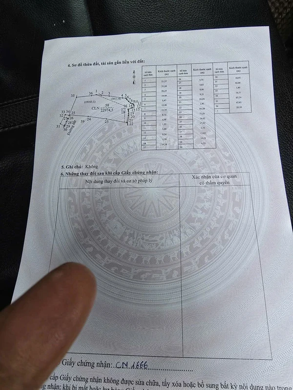 Bán đất 2,3ha sầu riêng, cà phê tại Quảng Tân, Bình Dương