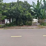 Bán đất 9,5x56m giá 1,5 tỷ tại Tân Bình, phường Bình Phước, Đồng Nai - Ảnh thu nhỏ 3