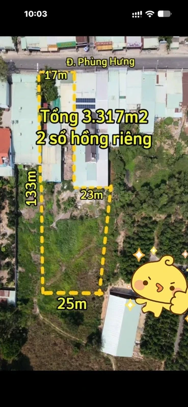 Bán đất mặt tiền An Phước 3.317m2, giá 2 tỷ