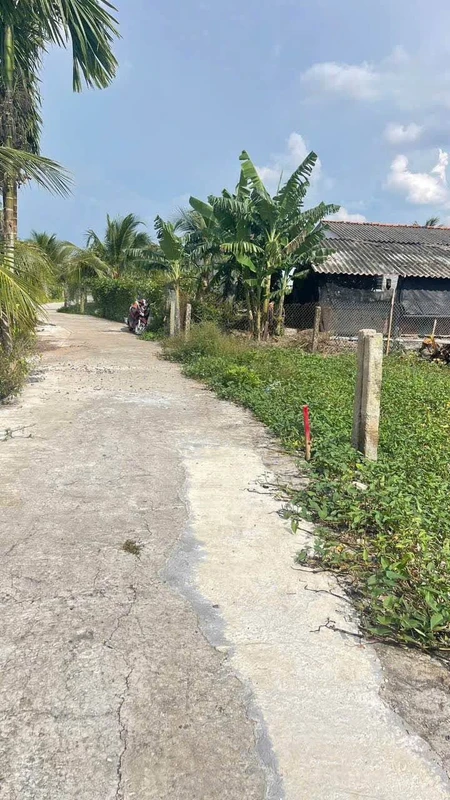 Bán đất thổ cư 5x38m giá 350 triệu tại Hiệp Thạnh, Châu Thành, Long An