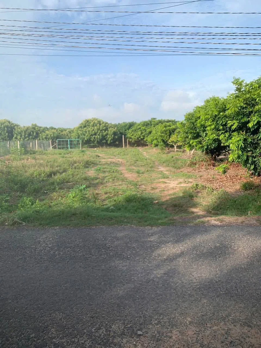 Bán đất hẻm 48 Nguyễn Lương Bằng, 256m², 496 triệu - Ảnh thu nhỏ 2