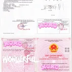 Chính chủ gửi bán lô đất 3 mặt tiền 389,9m2 siêu đẹp đường Trương Pháp Đồng Hới Quảng Bình 37.999tỷ - Ảnh thu nhỏ 14