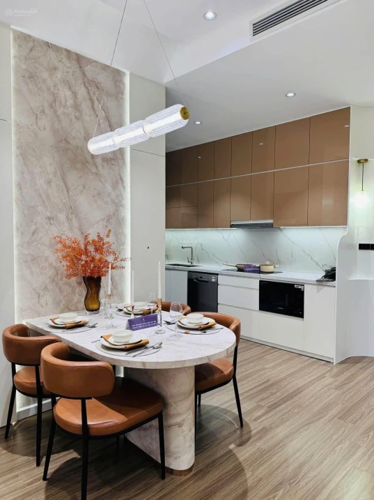 Diamond Light Thái Bình chỉ từ 10% đã có thể sở hữu căn hộ - Ảnh thu nhỏ 2
