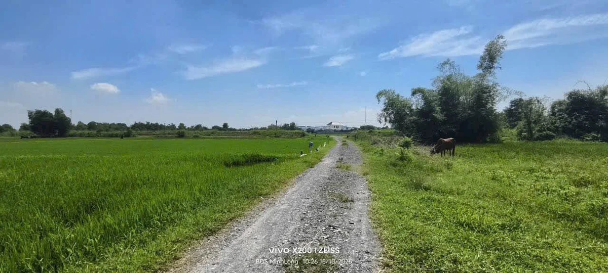 Bán đất 27x35m (945m2) gần Vinhomes 197ha, cách trung tâm Hậu Nghĩa 800m, giá 2,2 tỷ - Ảnh thu nhỏ 3