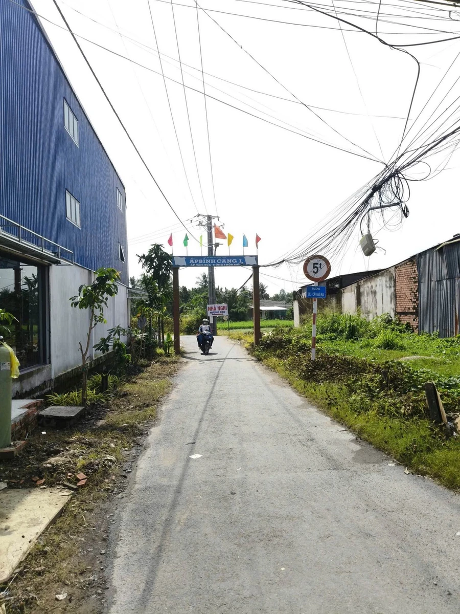 Bán đất nền Bình Cang 1 Thủ Thừa 140 m² - Ảnh thu nhỏ 3
