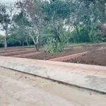 Bán đất Bình Lộc Long Khánh 170m² sổ riêng 890 triệu - Ảnh thu nhỏ 1