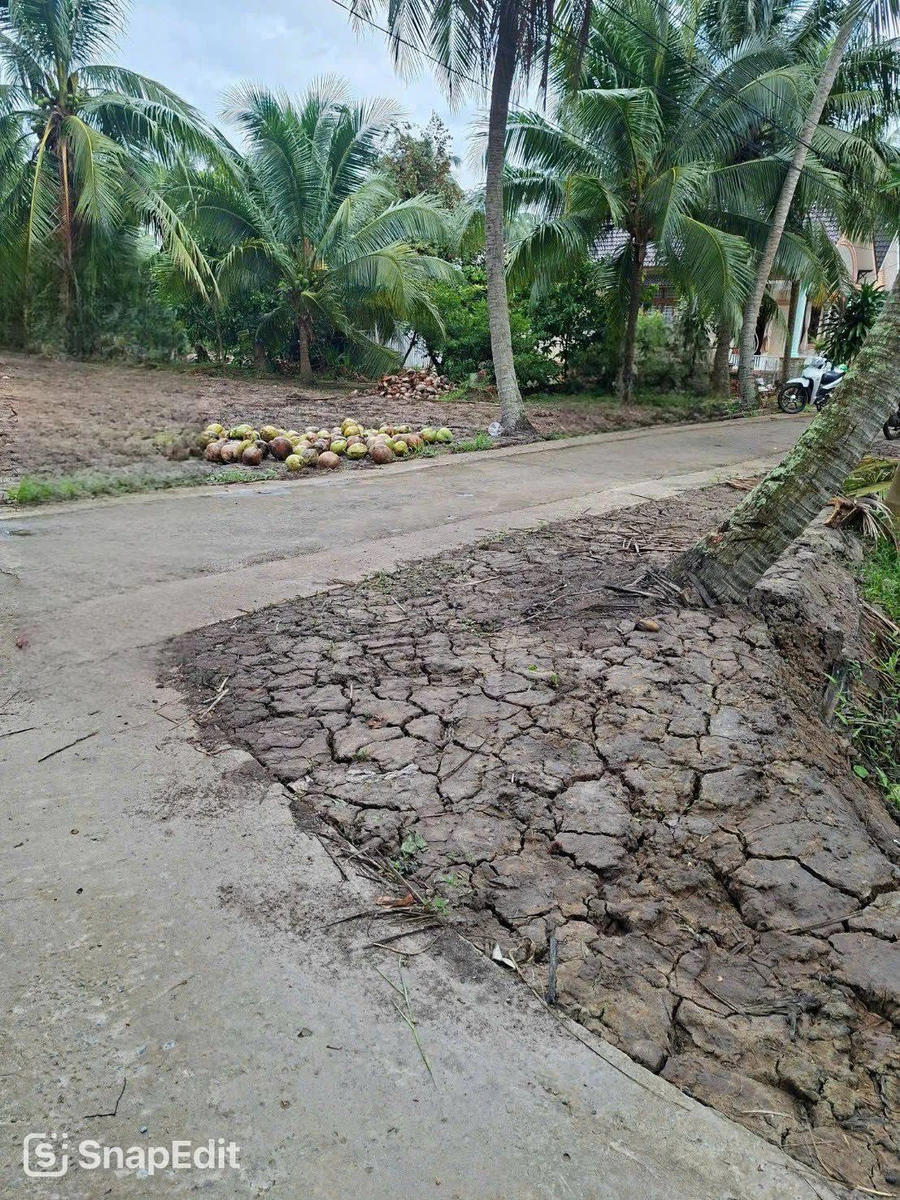 Bán đất gần 2,4c tại Châu Bình, Giồng Trôm, Bến Tre - Ảnh thu nhỏ 5