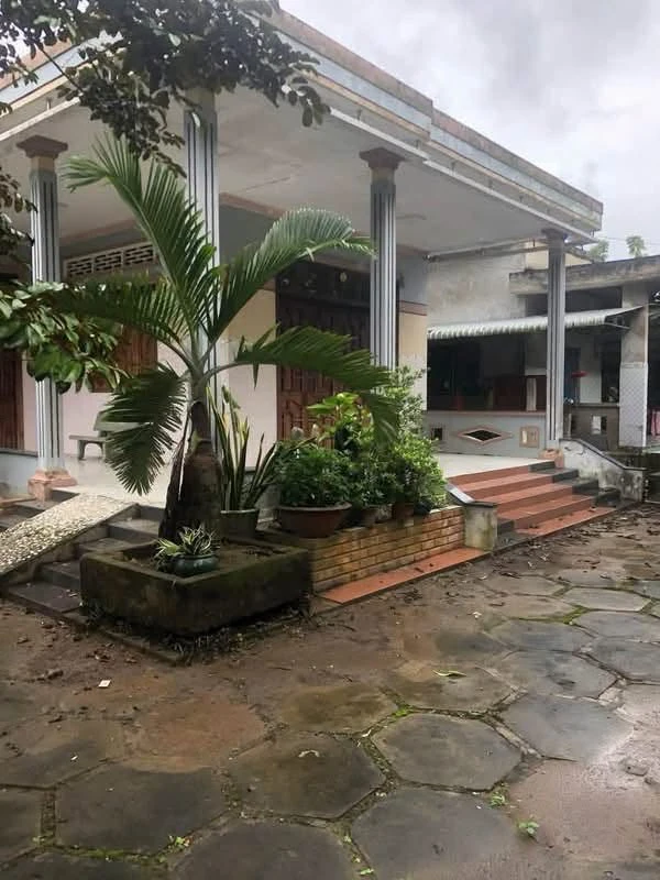 Bán đất 947m² tại Tam Phước, Bến Tre, 1 tỷ 600 triệu
