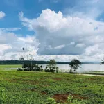 Đất view hồ Ea Nhái 4000m2 xã Cuôr Đăng - Ảnh thu nhỏ 2