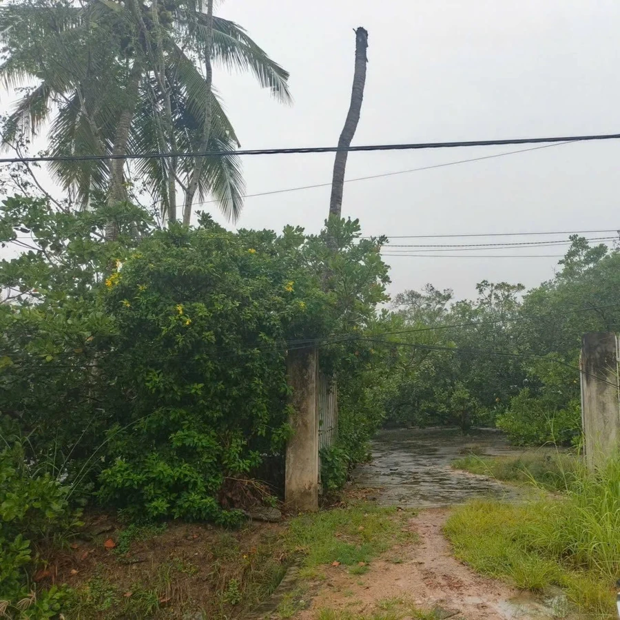 Bán đất mặt tiền Tây Ninh 1,116 m² giá 1,3 tỷ - Ảnh 1