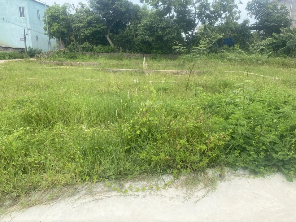 Bán đất Phường Xuân Hòa, vị trí đẹp, đầu tư sinh lời - Ảnh thu nhỏ 5