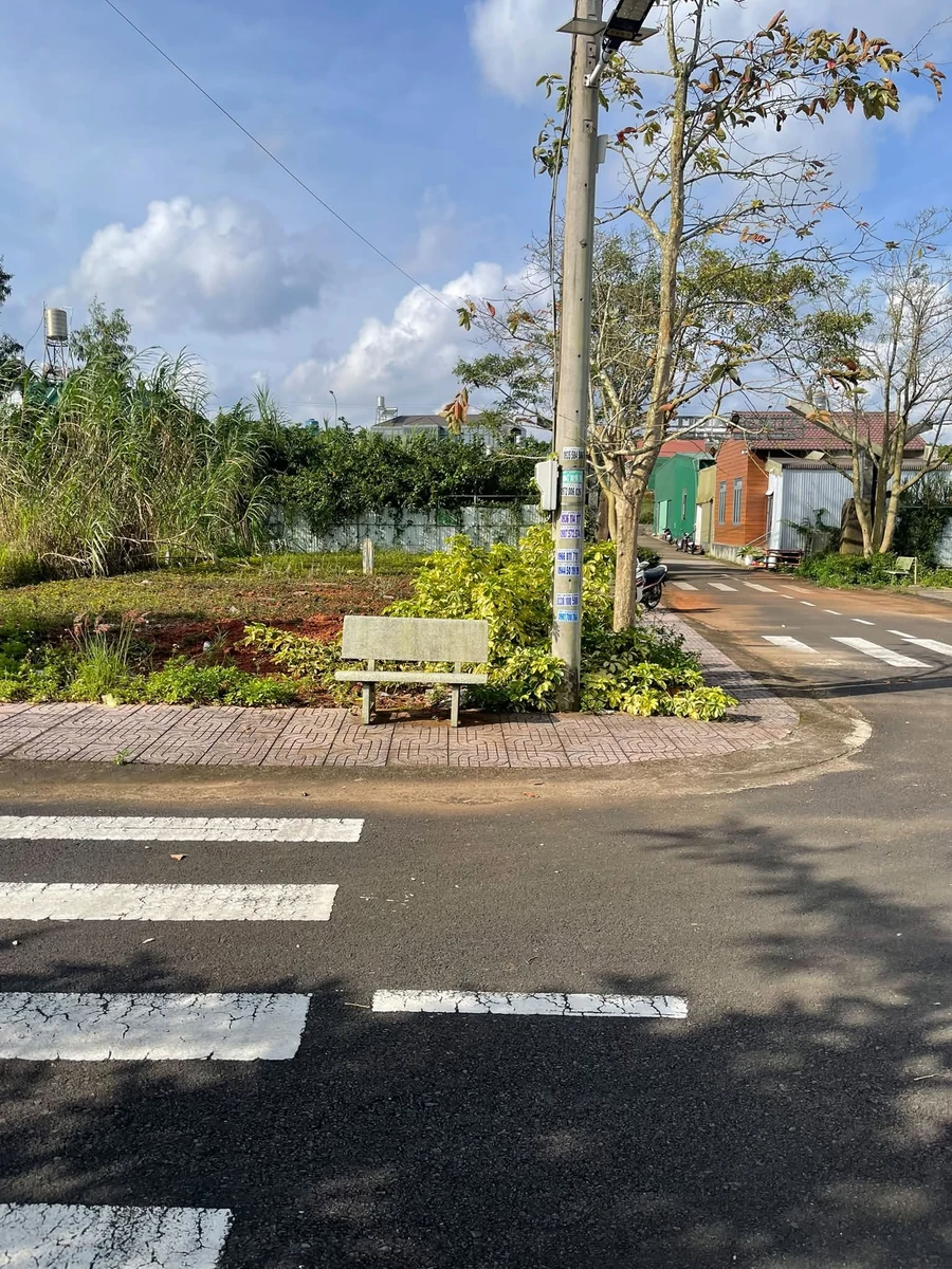 Bán lô đất 186,6m² mặt tiền đường ô tô Bảo Lộc 1,5 tỷ - Ảnh thu nhỏ 5