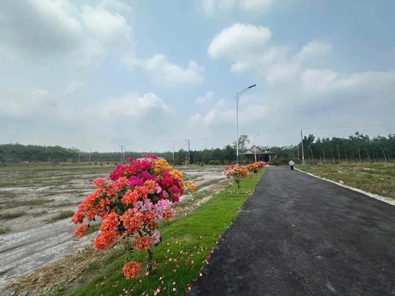 Bán đất mặt tiền 431m² Tây Ninh giá 2.8 tỷ 079279288