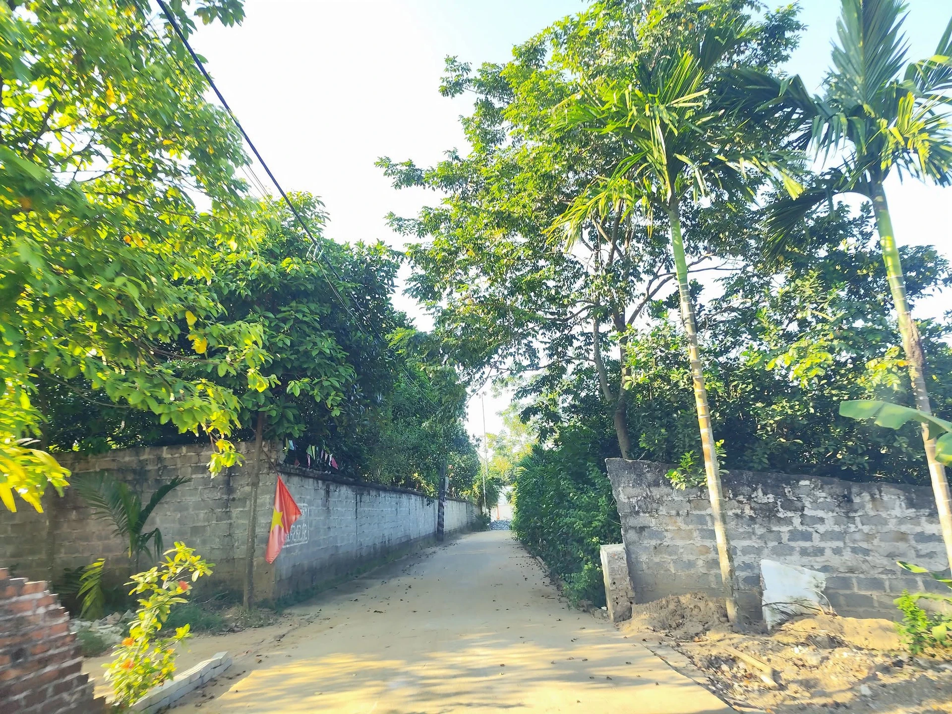 Bán đất Ba Vì 600m2 hơn 1 tỷ Hà Nội - Ảnh 1