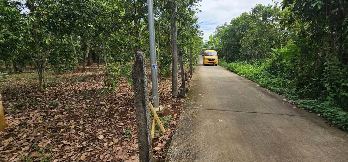 Bán đất mặt tiền QL56 Kim Long 906m2, 2 tỷ 100 - Ảnh thu nhỏ 3