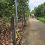Bán đất mặt tiền QL56 Kim Long 906m2, 2 tỷ 100 - Ảnh thu nhỏ 3