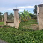 Bán đất mặt tiền 151m2 Trần Văn Cầu, Nhà Bè - 888 triệu - Ảnh thu nhỏ 4
