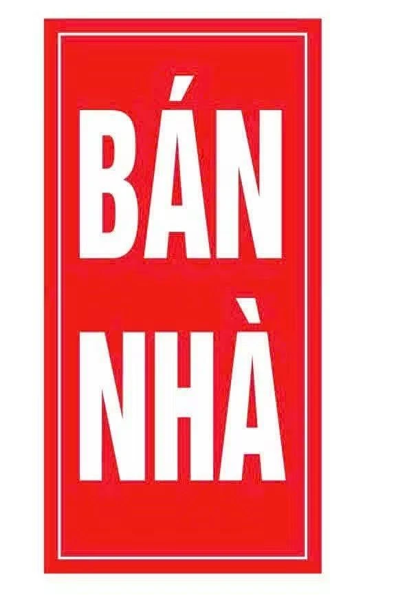 Bán nhà cấp 4 mặt tiền QL55, 250m², 2PN, Đất Đỏ, Hồ Chí Minh - Ảnh thu nhỏ 3