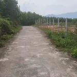 Chào bán lô đất vườn diện tích khủng hơn thích hợp xây villa hoặc kinh doanh du lịch tại Bà Nà - Ảnh thu nhỏ 2