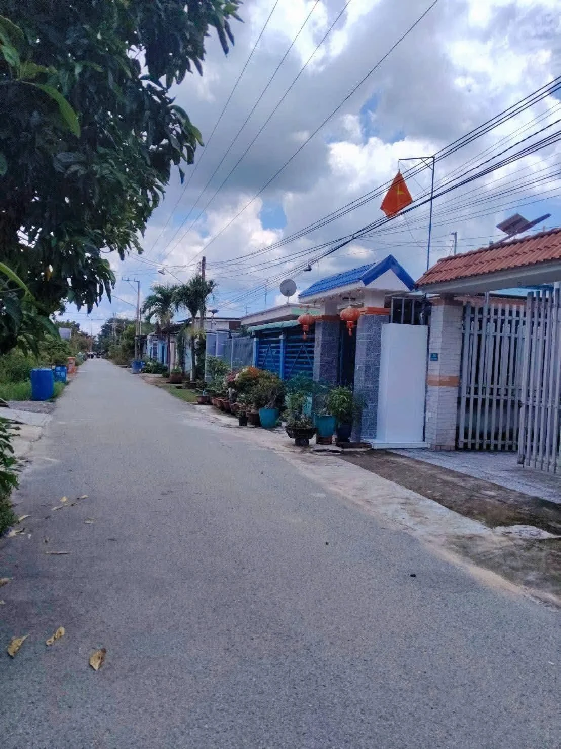 Bán lô đất 297m2 Tân Thành Bắc Tân Uyên 1,7 tỷ - Ảnh 1